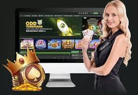 w567 Live Casino